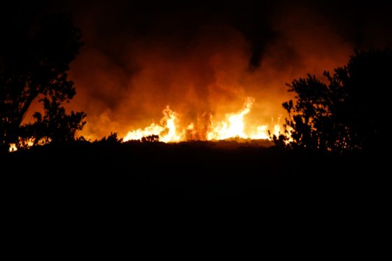 Ολονύχτια μάχη με τις φλόγες στη Κορινθία – Υποψίες για εμπρησμό