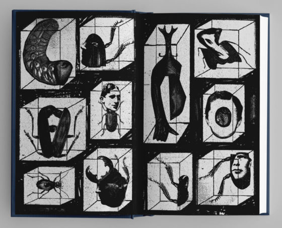 Παιδαγωγούσα βαναυσότητα και Εξουσία