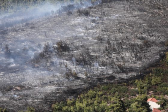 Meteo: Με τις μισές φωτιές τριπλασιάστηκαν φέτος οι καμένες εκτάσεις στη χώρα