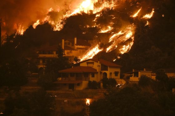 Κάηκε το ένα τρίτο των δασών της Εύβοιας από την πρόσφατη πυρκαγιά