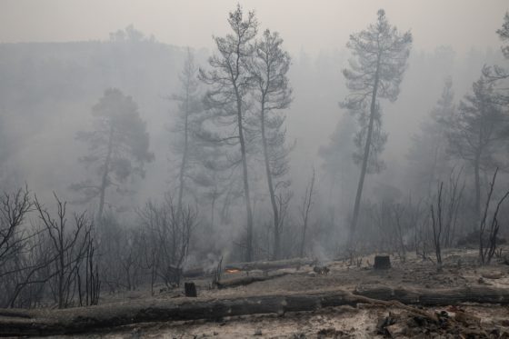 «Ο πρωθυπουργός οφείλει να πάρει θέση» για την ομολογία μη εντολής κατάσβεσης στην Εύβοια