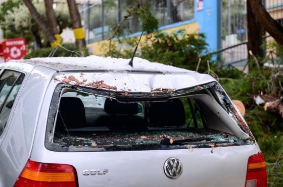 Πώς θα αποζημιωθούν ιδιοκτήτες που τα οχήματά τους έπαθαν ζημιά από πτώσεις δέντρων