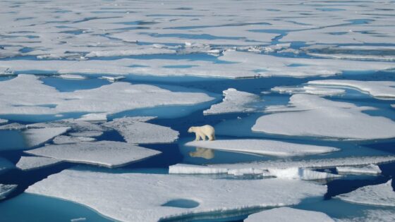 Κλιματική κρίση: Το λιώσιμο των πάγων ανέβασε τη στάθμη της θάλασσας στη Γροιλανδία κατά 27 εκ.