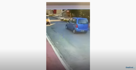 Οδηγός στη Θεσσαλονίκη παρέσυρε κουτάβι στην άκρη του δρόμου και το άφησε αιμόφυρτο