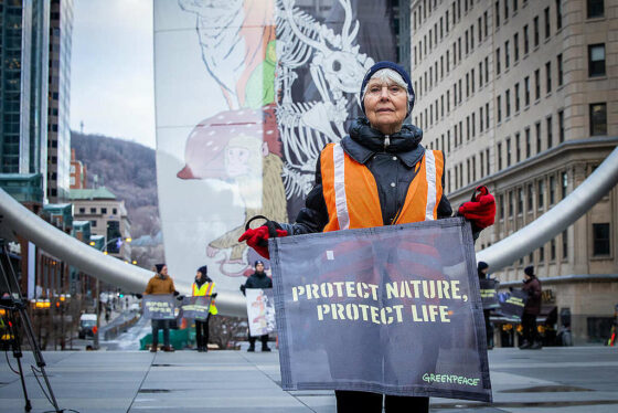 Greenpeace για COP15 και βιοποικιλότητα: «Μικρά βήματα ελπίδας, αλλά και άλματα απογοήτευσης»