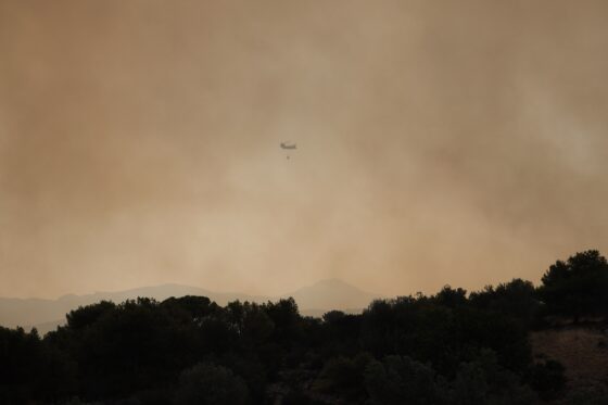 Φωτιές – UPD: Καίγεται η Κέρκυρα – Μεγάλες αναζωπυρώσεις στη Ρόδο – Έπεσε καναντέρ στην Κάρυστο