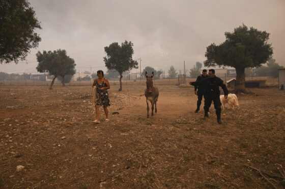 Μάχη με τις αναπυρώσεις: Καίει η φωτιά στη Ρόδο – Συναγερμός και σήμερα λόγω καύσωνα – Πολλές εκκενώσεις οικισμών (Συνεχής Ενημέρωση)