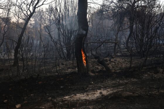 Πυρκαγιές: Βελτιωμένη εικόνα σε Μαγνησία, Ρόδο, Λαμία, Κέρκυρα και Κάρυστο – Αναζήτηση ευθυνών για τη Νέα Αγχίαλο