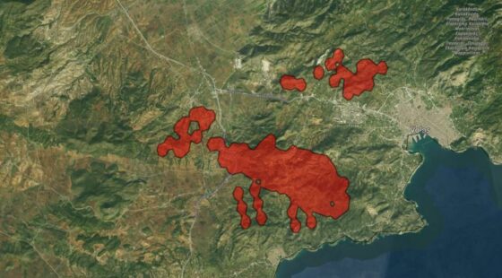 Εισαγγελική παρέμβαση στη Μαγνησία – Σοβαρές οι ενδείξεις για συγχρονισμένους εμπρησμούς στην περιοχή