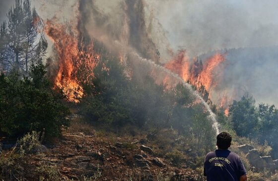 9η ημέρα που καίγεται η χώρα: 61 δασικές πυρκαγιές το τελευταίο 24ωρο – Δύο νεκροί στη Μαγνησία με τις φλόγες να έχουν μπει στη βιομηχανική ζώνη του Βόλου (UPD)