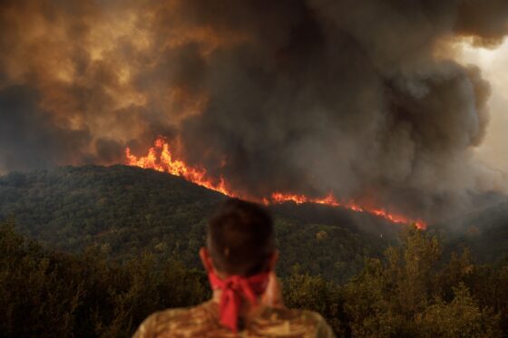 Παραδομένο στις φλόγες για 7η μέρα το δάσος της Δαδιάς – Μεγάλη αναζωπύρωση στην Πάρνηθα