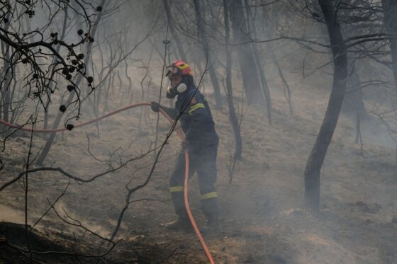 Φωτιά στη Ροδόπη: 112 για εκκένωση Γρατίνης