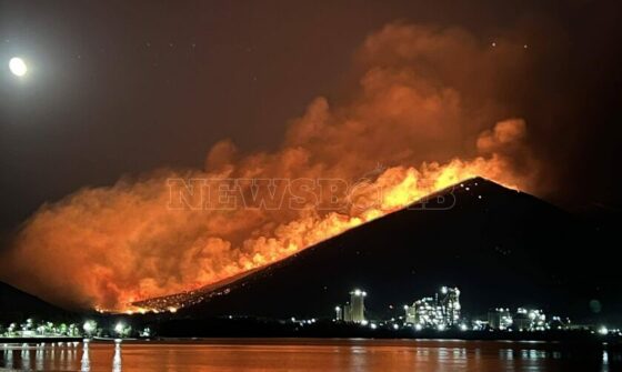 CorfuNews image