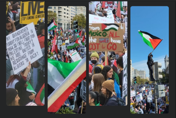 Το «άγνωστο» κίνημα υπέρ των Παλαιστινίων στις ΗΠΑ