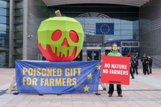 Greenpeace: Το Ευρωπαϊκό Κοινοβούλιο εξαλείφει την προστασία της φύσης από τη γεωργία