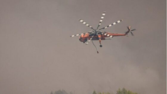 Πυρκαγιά σε χαμηλή βλάστηση στην Περαχώρα Λουτρακίου – Ισχυρ