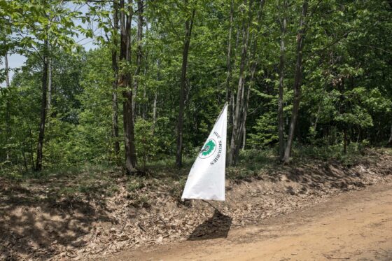 Επιπτώσεις και κίνδυνοι για τη Χαλκιδική από το επενδυτικό σχέδιο της Eldorado Gold – μια αναγκαία επικαιροποίηση