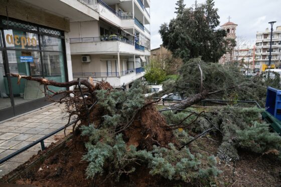 Σε κατάσταση έκτακτης ανάγκης κηρύχθηκε ο Δήμος Θεσσαλονίκης – 600 δέντρα έγειραν ή έπεσαν από τη Bora