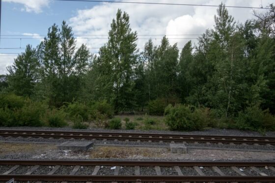 Τα τρένα της προόδου και της εκμετάλλευσης (Β΄ Μέρος): Οι σιδηρόδρομοι ως δημόσια υποδομή μεγάλης κλίμακας και ο ρόλος του κράτους