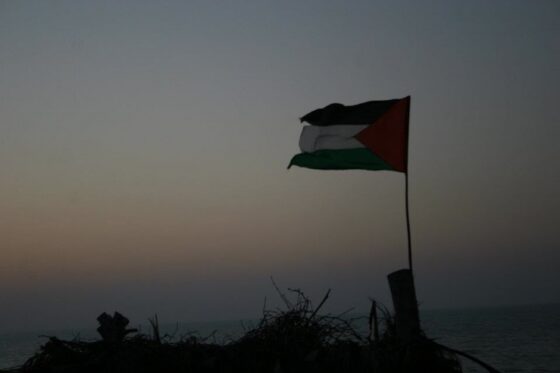 Η σφαγή του αλευριού: ασκήσεις απάθειας