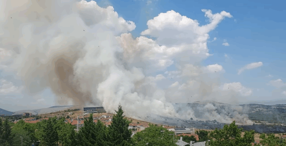 Συνολικά 64 αγροτοδασικές πυρκαγιές εκδηλώθηκαν το τελευταίο