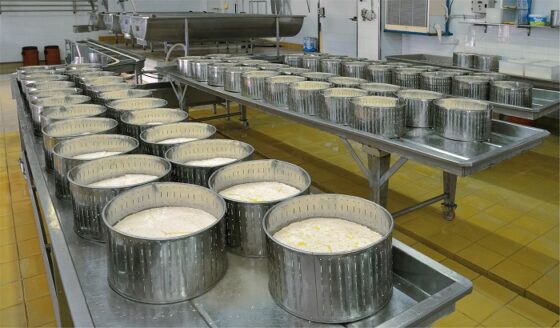 Μυτιλήνη: Πιέσεις για άμεση αποσυμφόρηση – Σε αδιέξοδο τα τυροκομεία της Λέσβου