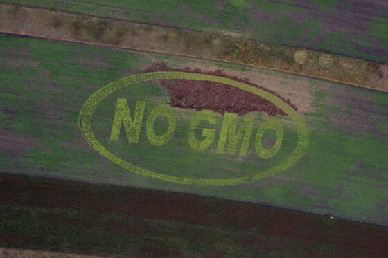 Greenpeace: «Νέα μεταλλαγμένα: κερδίσαμε χρόνο. Τώρα πρέπει να αυξήσουμε την πίεση»