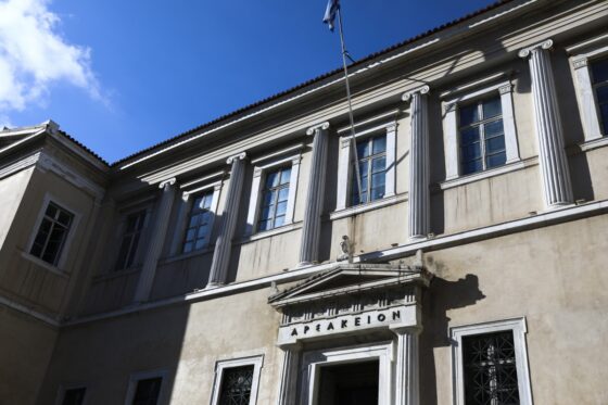 «Σημαντική νίκη για την ιθαγένεια: το ΣτΕ βάζει φρένο στα εισοδηματικά κριτήρια»