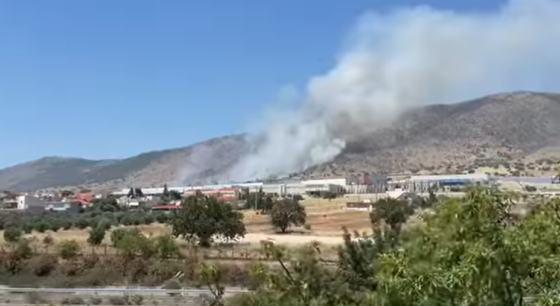 Σε ύφεση και χωρίς ενεργό μέτωπο η φωτιά στον Ασπρόπυργο