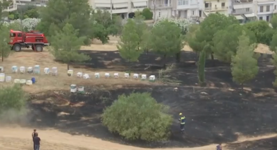 Συνελήφθη μελισσοκόμος για τη φωτιά στο Άλσος Βεΐκου