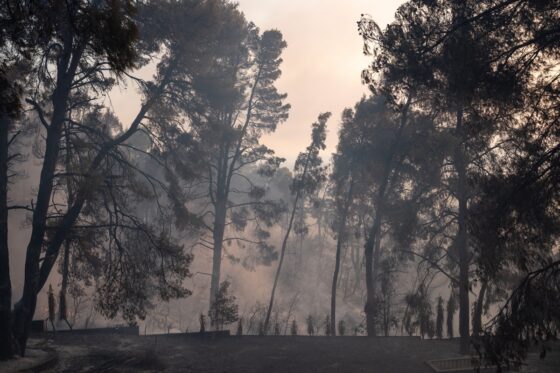 CorfuNews image
