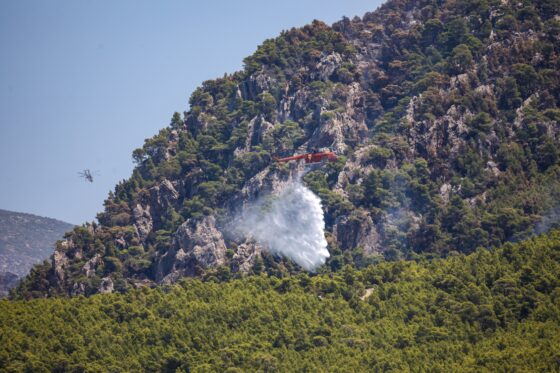 CorfuNews image