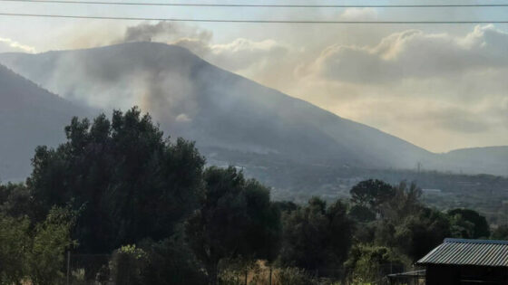 CorfuNews image