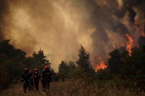 CorfuNews image